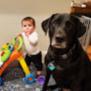 Meet your Posher, Alexander